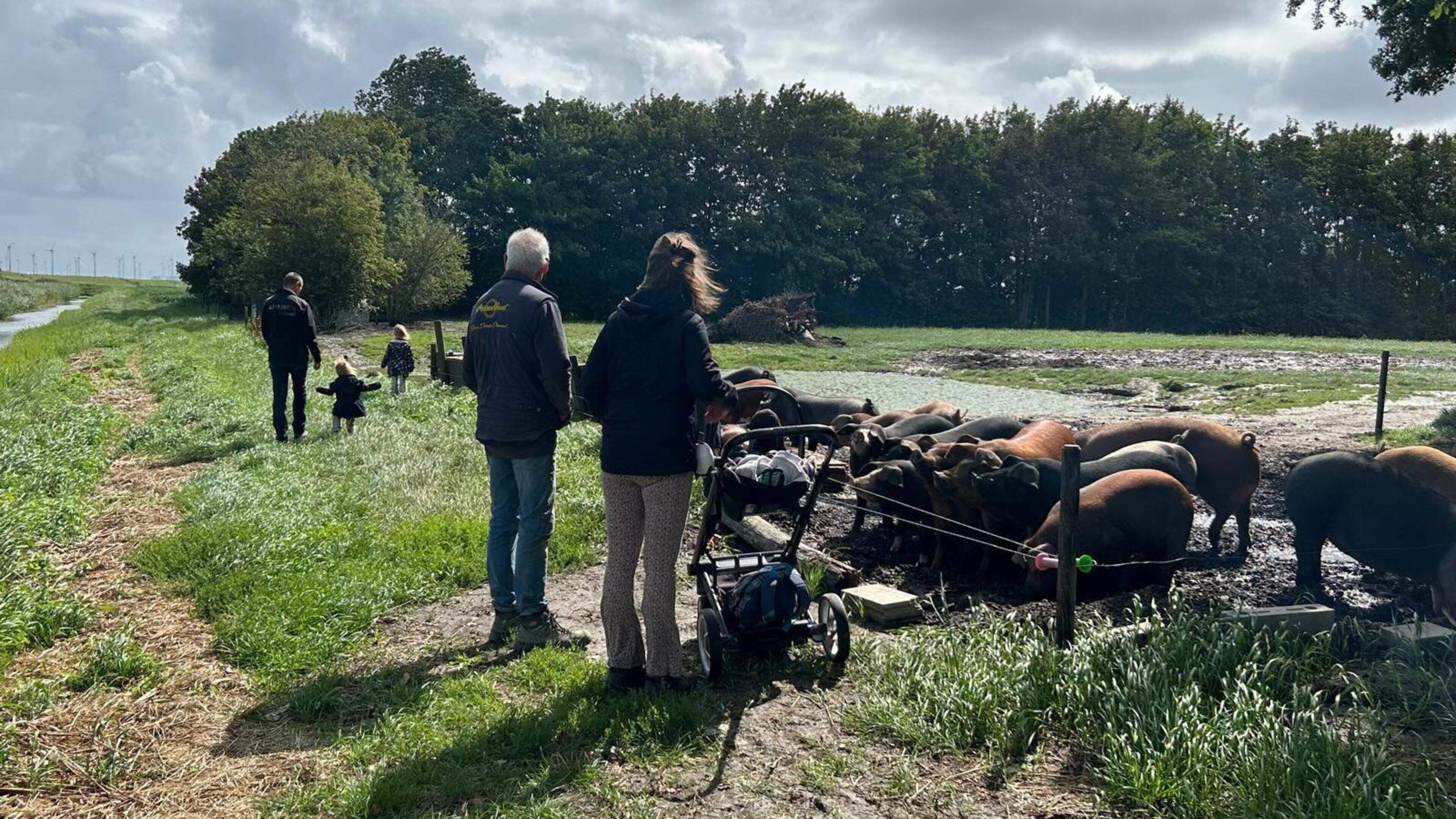 Wat is er dit weekend te doen in Groningen: kijkje bij de boer en Keti Koti